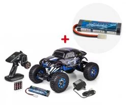 Carson Crawlee Beetle Bundle